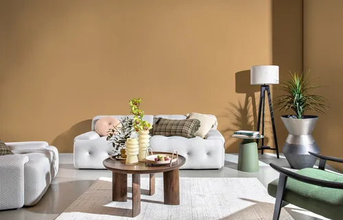 אוירה פלנטר מקסימה כסף