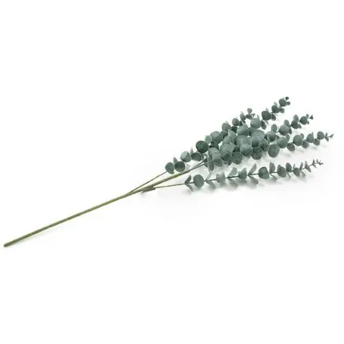 5 ענפי אקליפטוס 70 סמ
