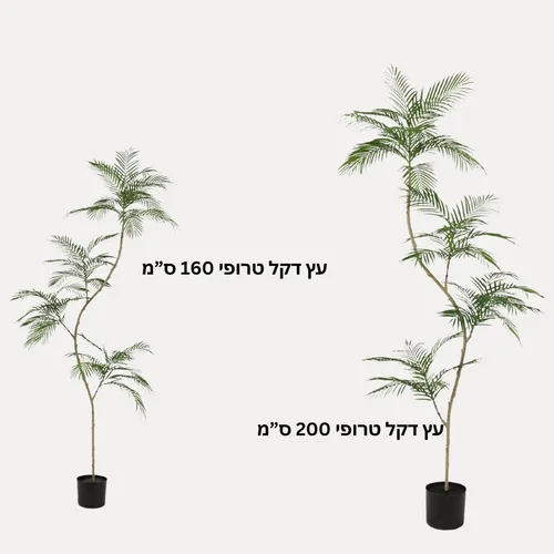 עץ טרופי בשתי מידות 160\200 סמ