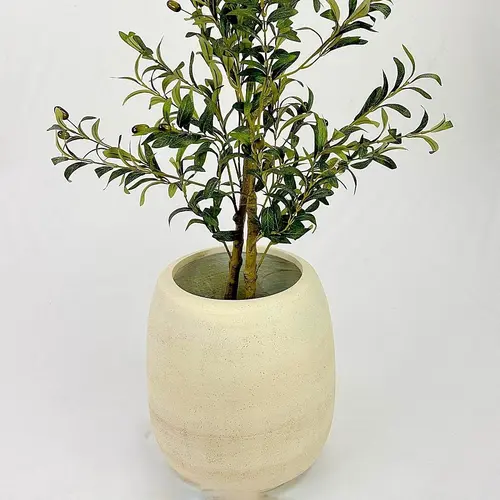 בית עציץ קלאסי רחב